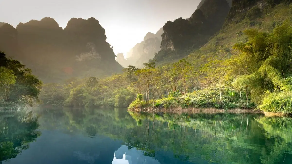 高性能精密